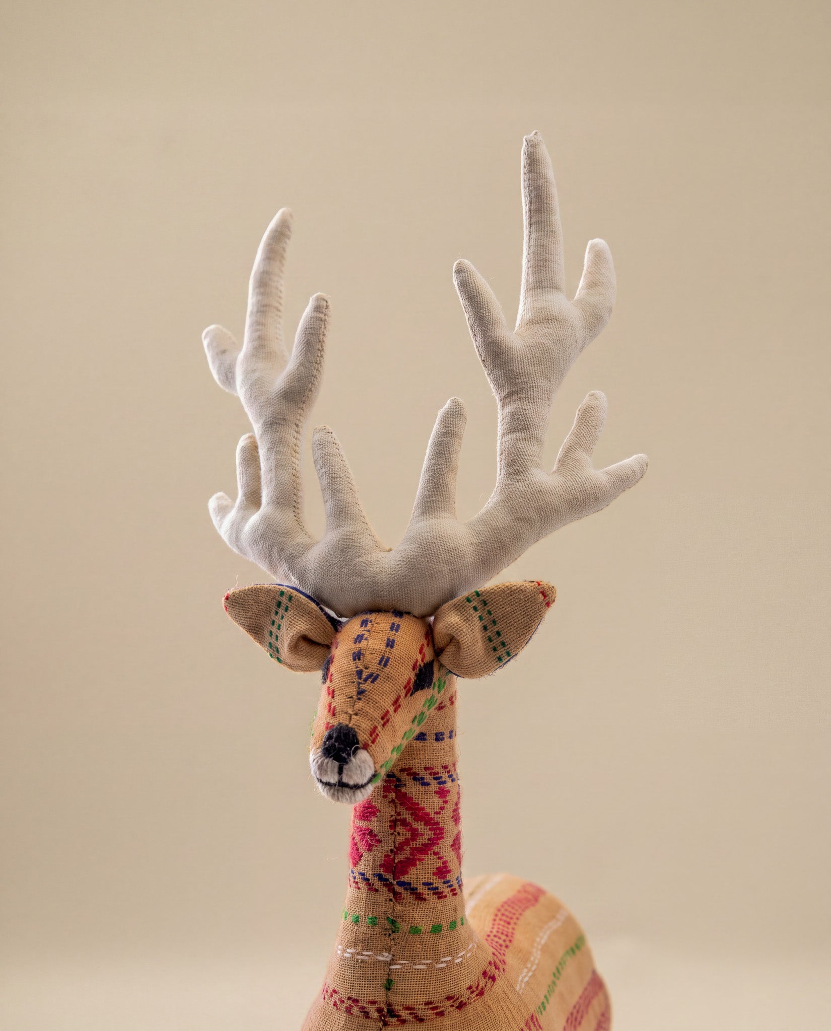 Swamp Deer
